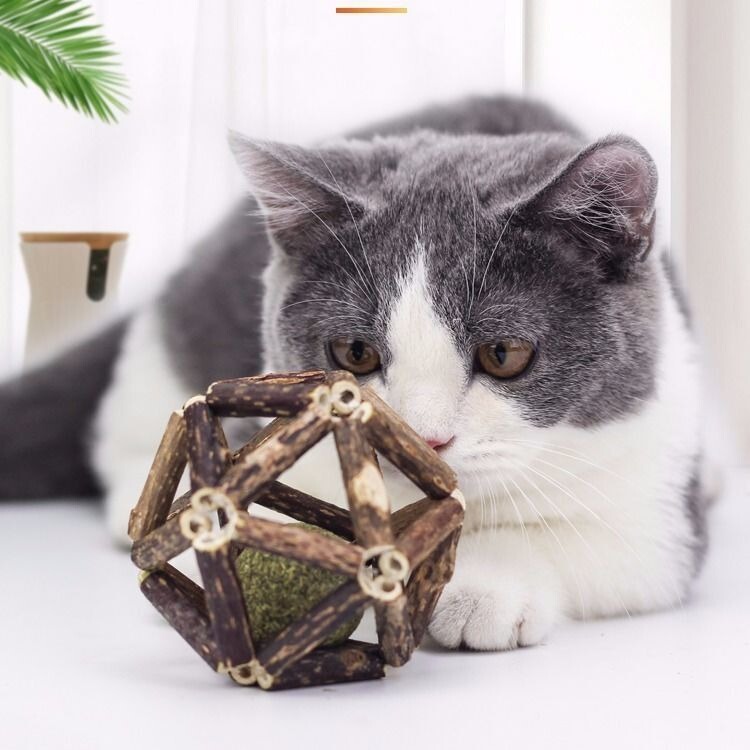 Cat Toy Mint Ball, Wood and Polygonum Teething Stick, Cat Teething Stick, Self-Pleasure and Boredom Relief Artifact, Pet Supplies