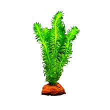 ����ˮ��ֲ���~���쾰���ú��~���B����ˮ�|�Gֲ�����B�~�񹝲�