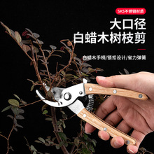 ���@�@�ֹ��ߘ�֦��֦��֦��ľ���@ˇ�������仨֦������@ˇ�؂�