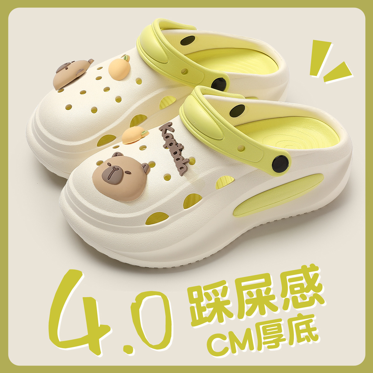 White green + rice black briquettes