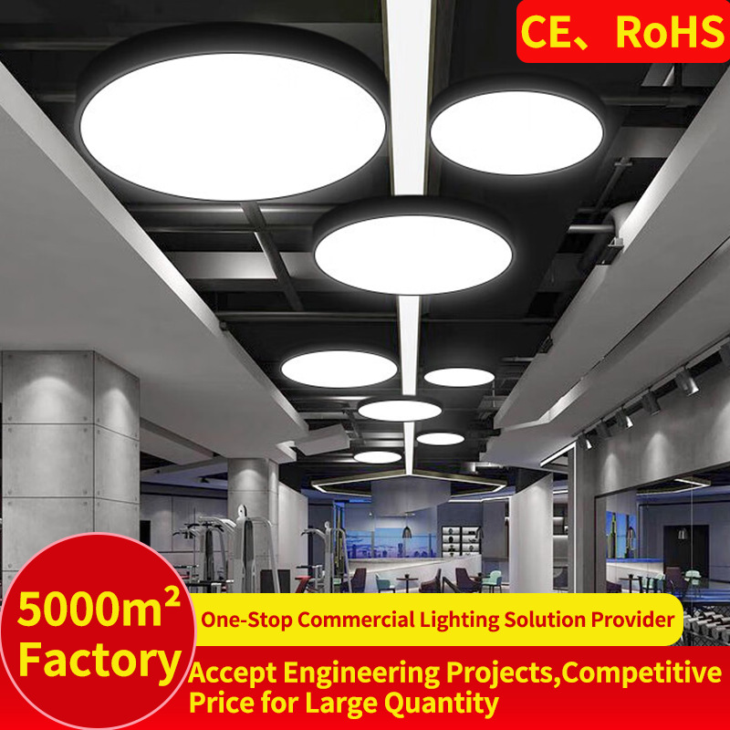 Solid Round Pendant Light Modern Indoor Ceiling Hanging Lamp