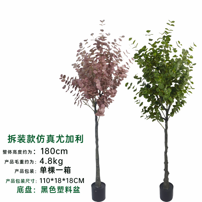 Simulación de estilo de desmontaje transfronterizo Eucalipto en maceta Eucalipto Centro comercial Sala de estar Ventana Decoración de plantas de piso a techo