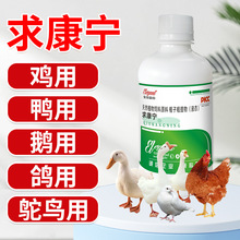 �󿵌�250ml ���Ӽ��ݼ����Bֳ���}���񲻺�ʳ������