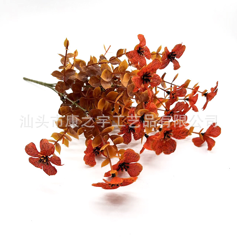 유칼립투스 보라색 갈조색 오렌지 꽃