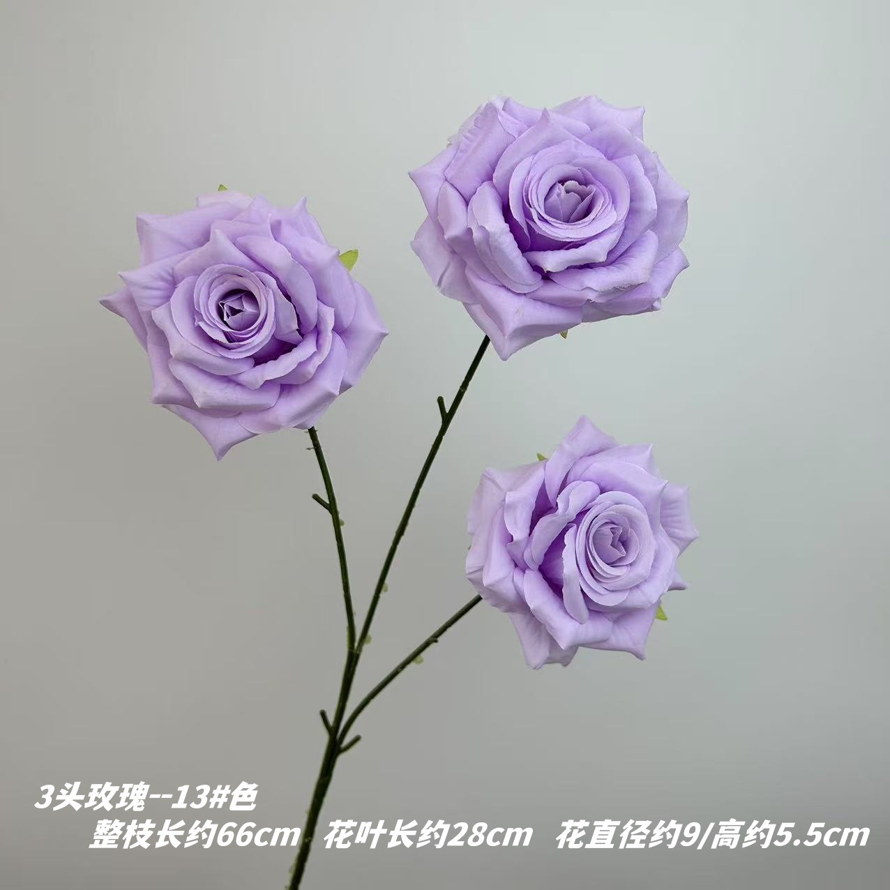 13 # 색상