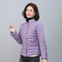 2025Ů�b�ﶬ�p�������ǹ�ɫ���I�����̿����e�L�����°��ۿڴ�