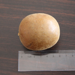 Bulk Spices and Fruits Guizhou Monk Fruit Large and Small Guilin Dehydrated Monk Fruit Tea New Arrival Flower and Fruit Tea Direct Supply and Distribution