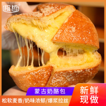 蒙古奶酪饼芝士包甜品奶酪奶豆腐拉丝吐司零食点心西贝同款糕点