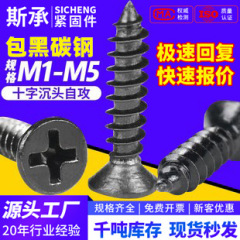 黒十字平頭KA炭素鋼沈頭タッピングねじ先締め卸売りパソコン小ねじM1-M5