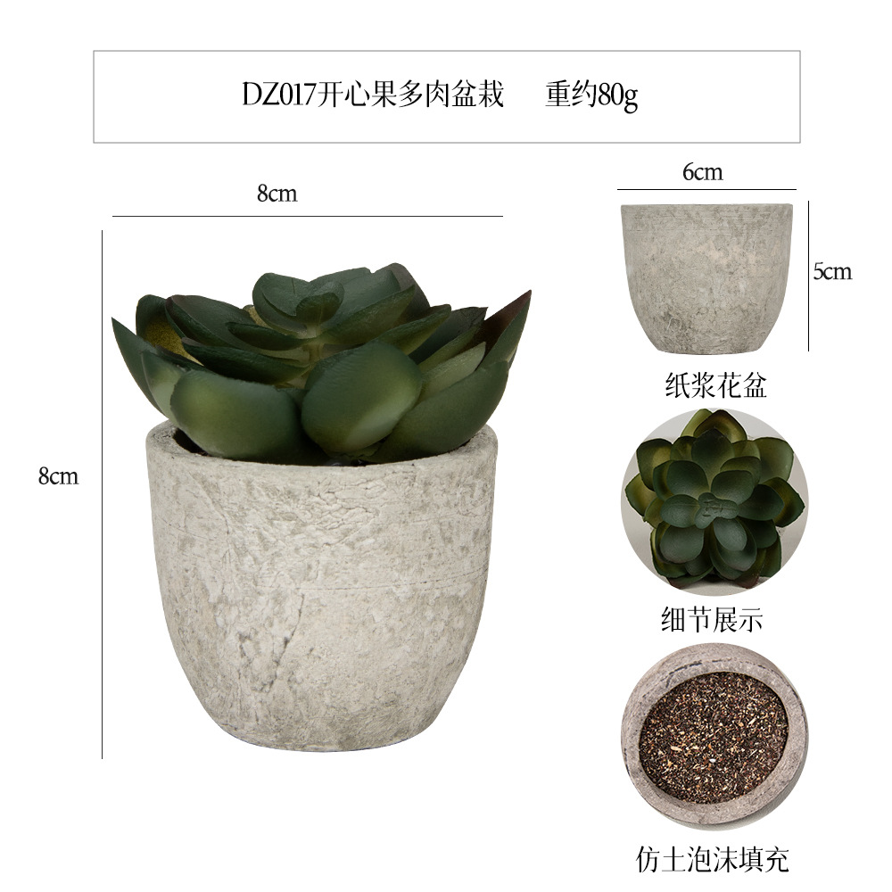 Más de 100 estilos de macetas de pulpa de papel vintage con plantas suculentas simuladas, pequeños adornos populares de estilo jardín para decoración del hogar transfronteriza. image 40