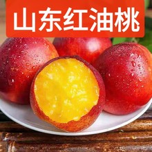 山东红油桃麻点红油桃黄肉油桃新鲜水果现摘脆甜应季蜜桃黄肉油桃