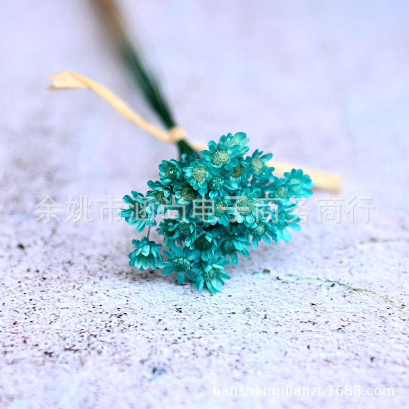 Mini Brasil estrella crisantemo accesorios de tiro flor seca Margarita pequeña flor estrella jalea lápiz labial bola de cristal flor DIY