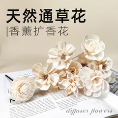 メーカー卸売り吸水アロマフラワー香薫通草アロマアクセサリー香薫乾花藤条通草花シミュレーション花
