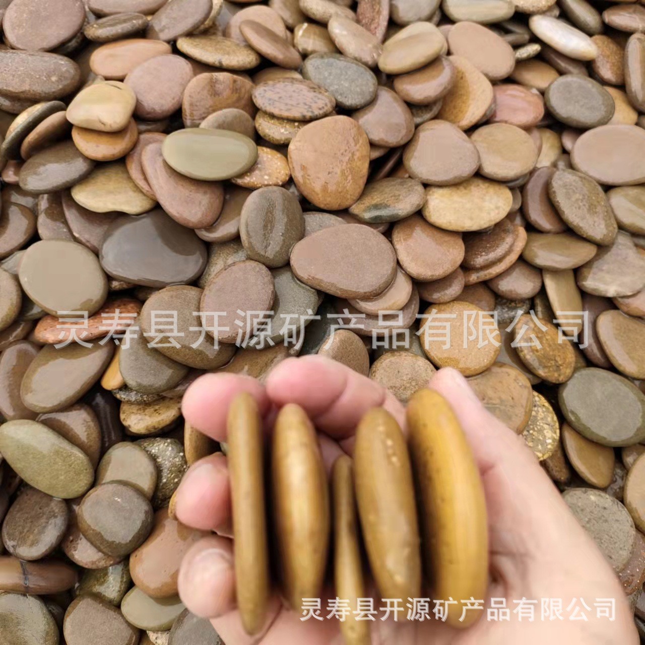 O1CN01tacbQU1I0BU0lgJpT_!!2213