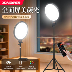 YONGEER M300直播补光灯专业直播间桌面灯光设备美颜面光灯柔光灯