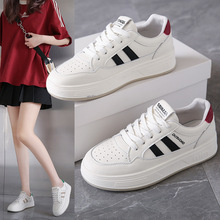 ɭ 2025＾СЬ¿ninsŮW͸\ӰЬeЬ2512