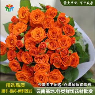 ��ɫ�űȶ��^õ������r��ֱ���Nޱ���ݼ�ͥ�����Fُ؛Դ��������