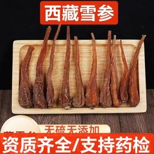 藏雪参 中药材批发藏雪参 西藏正宗雪参 萝卜参 支持药检 代磨粉