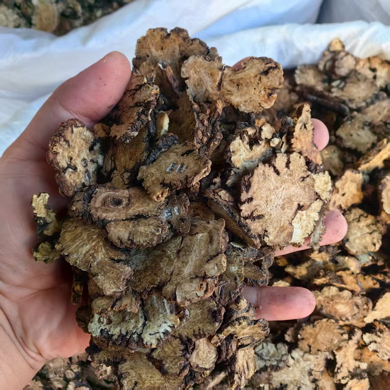 Chuan Xiong Sichuan Lovage Rhizome Slices Dried Herb for Decoction and Tea 500g specifications