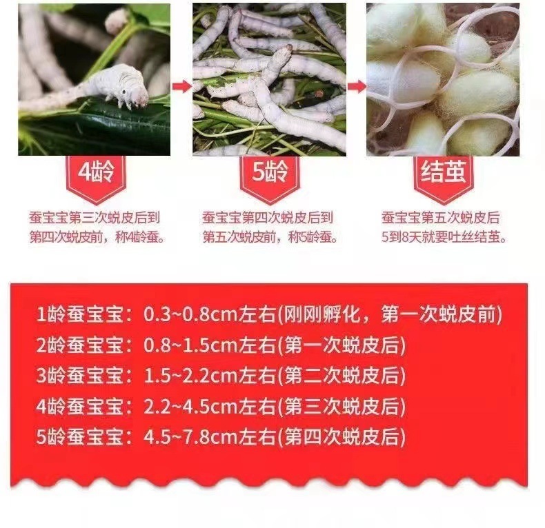 d2e50f1d-c58d-4f26-8f7c-60c91e4c7e9f.jpe