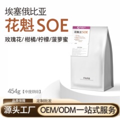 エチオピア シダモ 花魁 SOE 天日乾燥法 中煎り イタリアンコーヒー豆 454g 焙煎済み