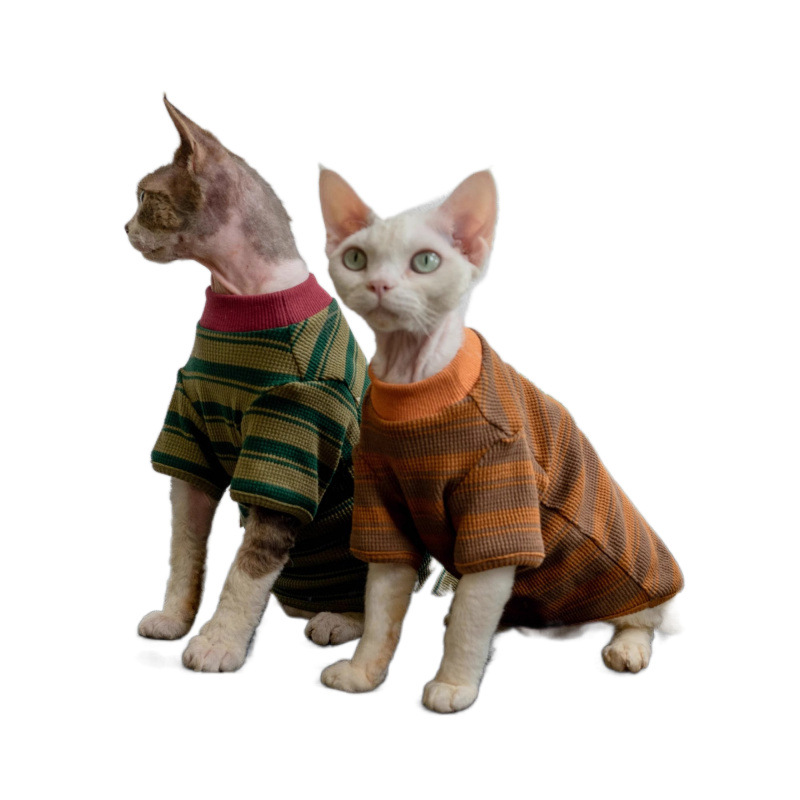 猫咪服饰与术后服