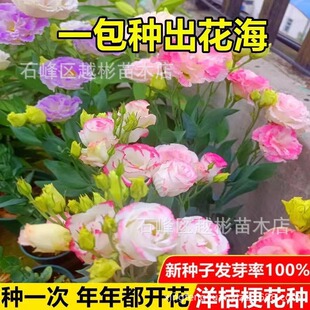 ��۹�����ǡ������Ʒ�ذ��л������M�ڻ��N�Ӷ�������ʾշN����