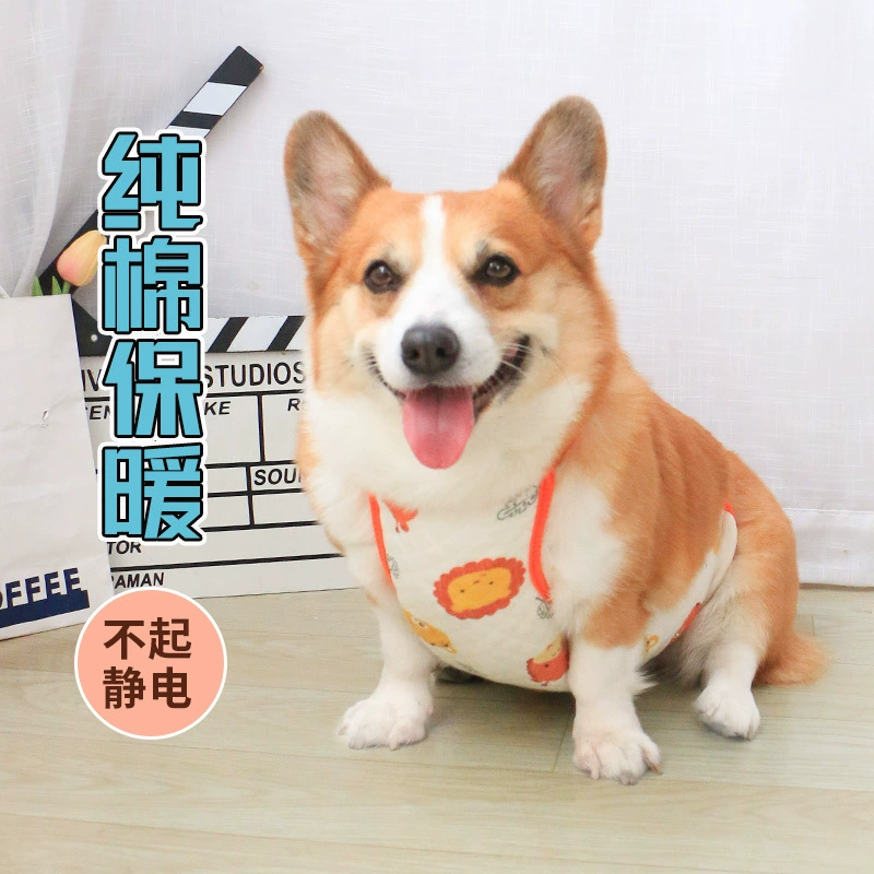 Домашние животные собаки, живот, теплая кобель, чтобы защитить живот, зимняя одежда, чтобы предотвратить грязь и холод осенью и зимой