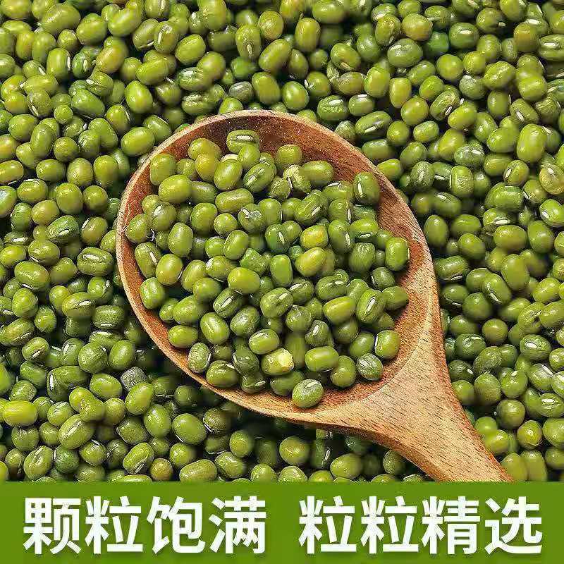 500g东北农家小绿豆 一斤新鲜绿豆 消暑五谷杂粮粗粮 煮粥 糖水|undefined