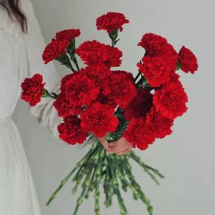 �μ����]��Ʒ�|����ܰ�r������ֱ�l�tɫ����ܰ�������l��һ�����l