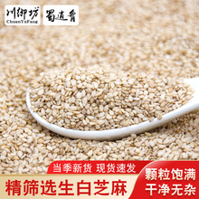 ֥؛r֥鎧決Ƥ֥÷rҺ֥ɢb