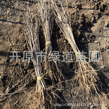 ಥNСl|ͺͩ繤ľͩ@