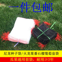 �����W���N�Ӵ����N�����W�����ӷ��x���������״����N���ߴ�