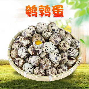 �����x���������g���� 50/100ö���r���B�g�����r���B�����u��