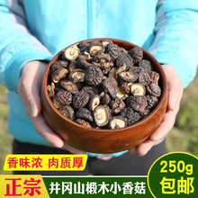 井岡山香菇干硫熏質剪腳干香菇 椴木小香菇營養冬菇干貨250g