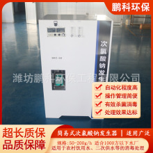 简易式次氯酸钠发生器200g次氯酸钠消毒设备农村饮用水消毒装置