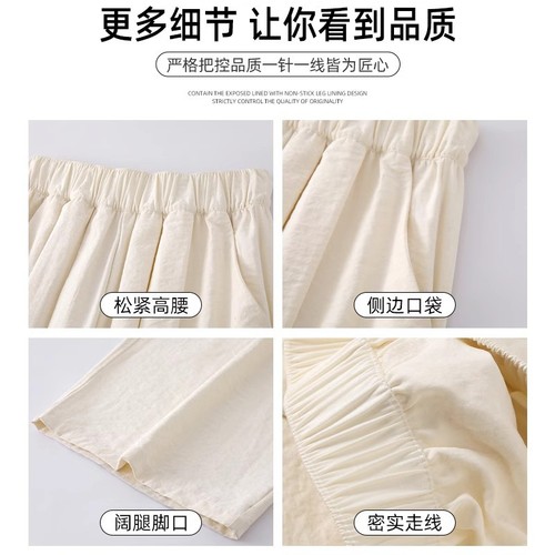 Fairy Ice Silk Yamamoto Women's Spring and Autumn Season 2025 New Arrival High-Waisted Casual Drape Texture Wide Leg Pants with Excellent Drape
