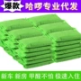 纳米两用代发去味炭包