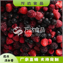 工厂直销批发出口速冻冷冻混合莓水果草莓黑莓黑加仑树莓
