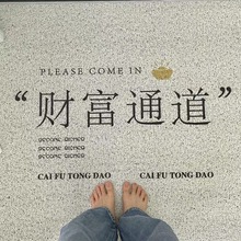 入户地垫pvc丝圈家用玄关刮泥蹭土进门垫防油污玄关专用耐脏