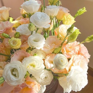 Lisianthus Flower Base Direct Delivery Thornless Rose Multi-Head Mix and Match Living Room Decoration Water Gift Stall Manufacturer Free Shipping