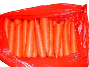 Поставки свежих овощей сохранили сохраненную морковку оптом "