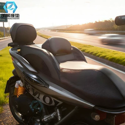 Motor Vehicle Sun Protection | Motorcycle cushion