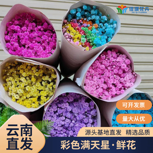 �M�����r�����ֱ����ɫ�M�������r�r�л���ɫ���ǻ�c���ջ���