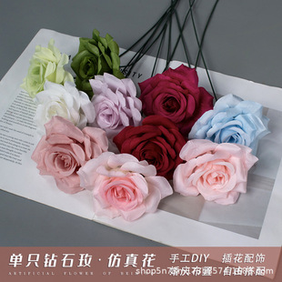 ���^�F�U����õ�廨��c��Y�b������l�̈�����쾰�������컨