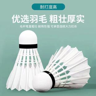 ��ë��12֧�b��6�b�ʹ���ë���ɫ����W��Ӗ������ë���������l
