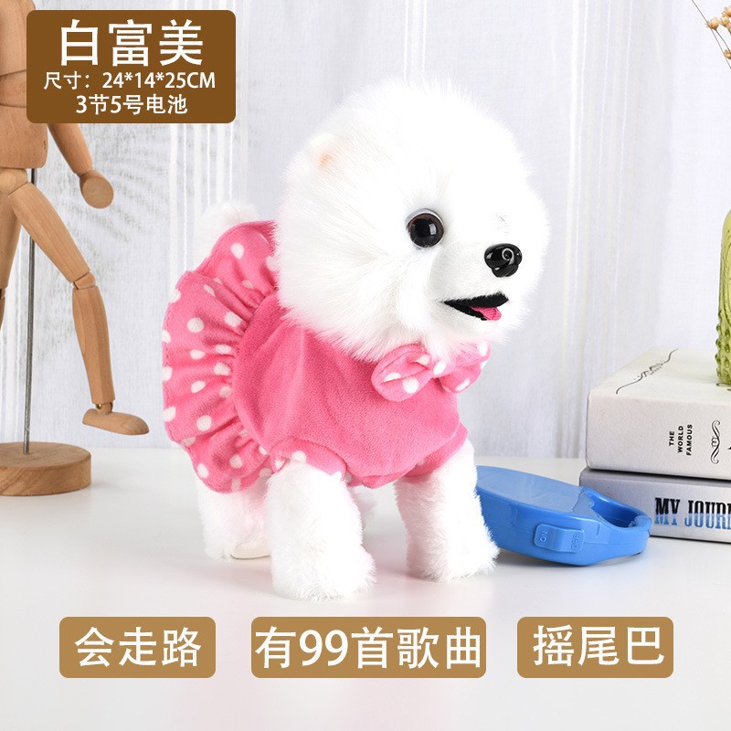【bai fumei】dog on leash