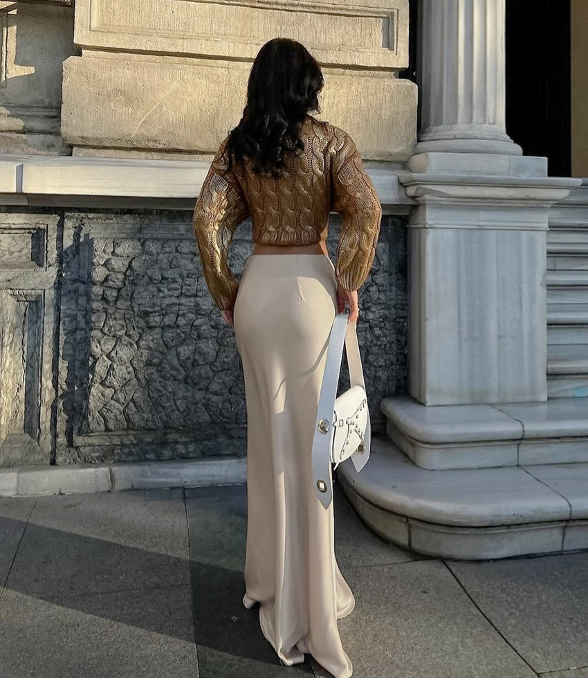 Women's Clothing 2024 acetate satin skirt female autumn new style drape slim A line long skirt high end women's clothing_voghion.com