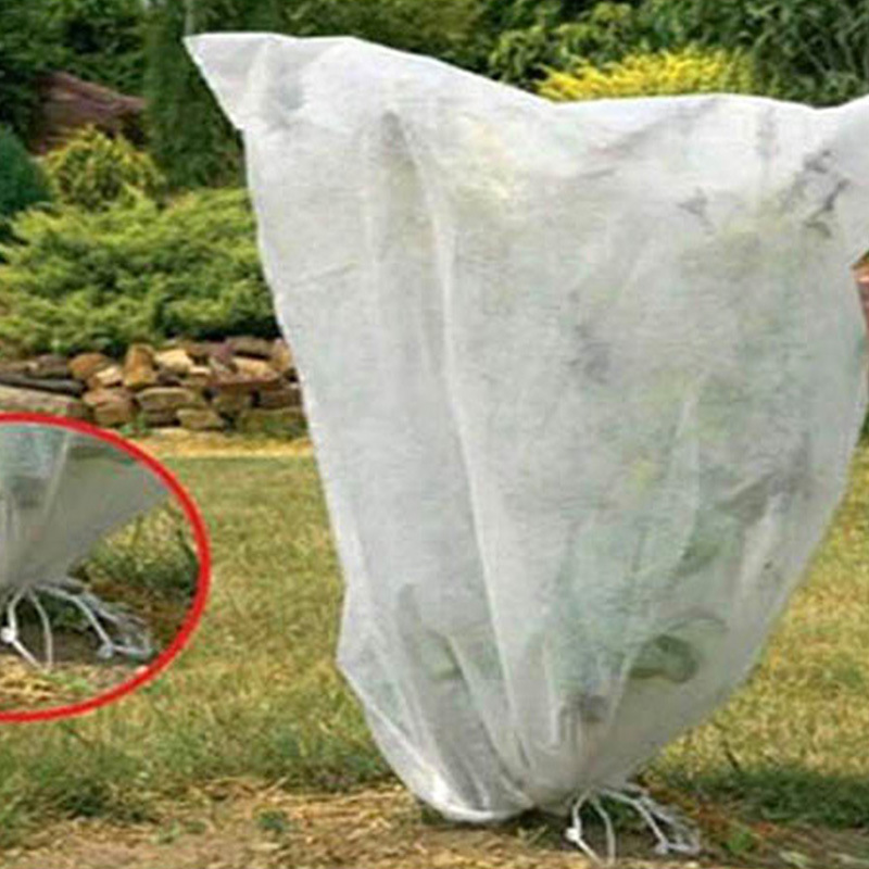 出口专供植物防寒罩防风保温防虫防寒防水布果园保温膜农用无纺布