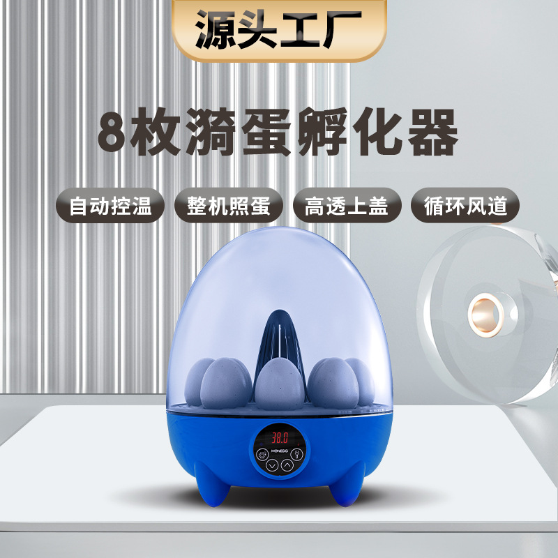 厂家批发8枚漪蛋小鸡蛋孵化器观察种蛋 新品家用幼教科教型孵化机